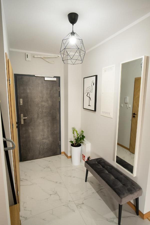 Apartament Ventus Business And Living 44 凯尔采 外观 照片