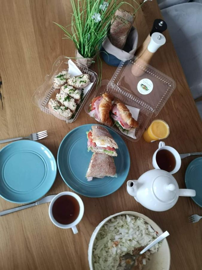 Apartament Ventus Business And Living 44 凯尔采 外观 照片